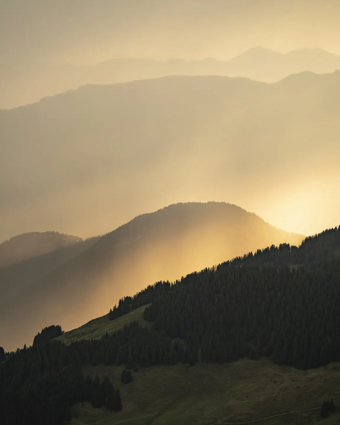 Atmosphärischer Blick auf sanfte, übereinanderliegende Bergrücken im Bregenzerwald, getaucht in warmes, goldenes Licht und leichten Morgendunst, der die friedliche und inspirierende Naturkulisse rund um das Aparthotel Hubertus in Mellau einfängt.