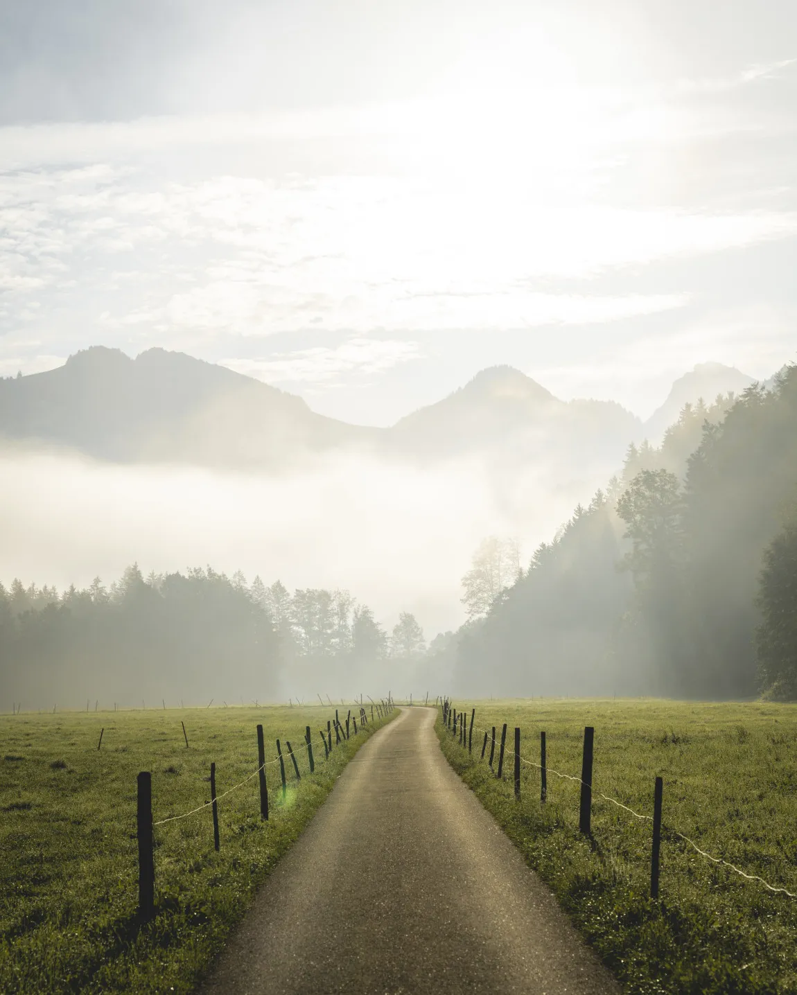 Ein idyllischer Feldweg schlängelt sich durch ein morgendlich nebelverhangenes Tal mit saftig grünen Wiesen und majestätischen Bergen im Hintergrund, zeigt die friedliche und inspirierende Naturkulisse rund um das Aparthotel Hubertus in Mellau.