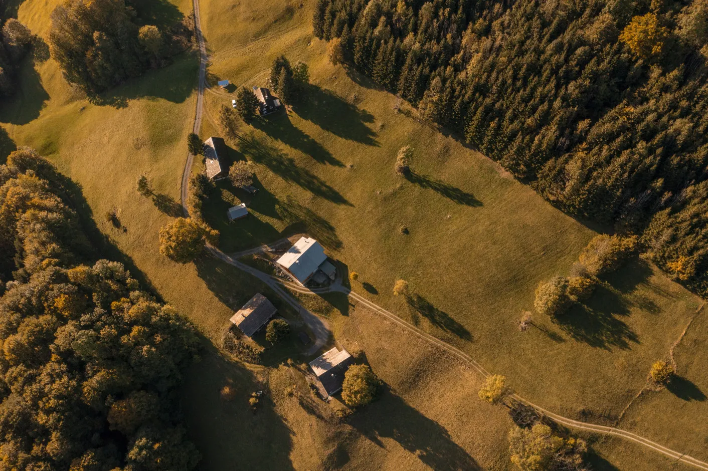 Eine Luftaufnahme einer idyllischen ländlichen Landschaft im Bregenzerwald mit grünen Wiesen, dichten Wäldern und verstreuten Häusern – ideal zur Veranschaulichung der abgelegenen und naturnahen Lage des Aparthotel Hubertus in Mellau.