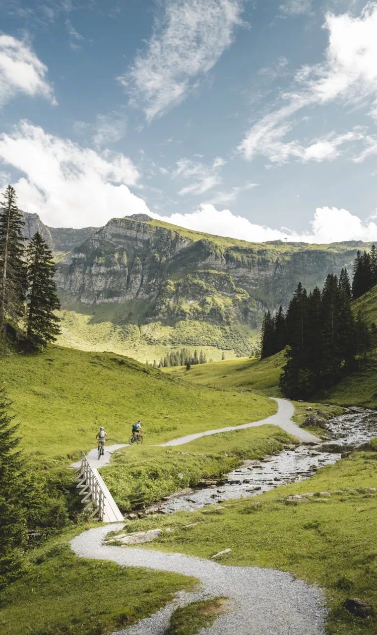 Zwei Mountainbiker auf einem malerischen Weg durch ein grünes Alpental mit einem sich schlängelnden Bach, umgeben von dichten Wäldern und majestätischen Bergen, das die ideale Landschaft für Outdoor-Aktivitäten in der Region Bregenzerwald zeigt.